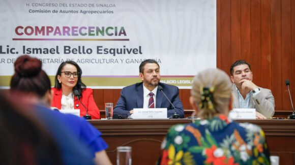 “No hemos dejado desatendido al agro en Sinaloa”: secretario Ismael Bello comparece ante el Congreso del Estado