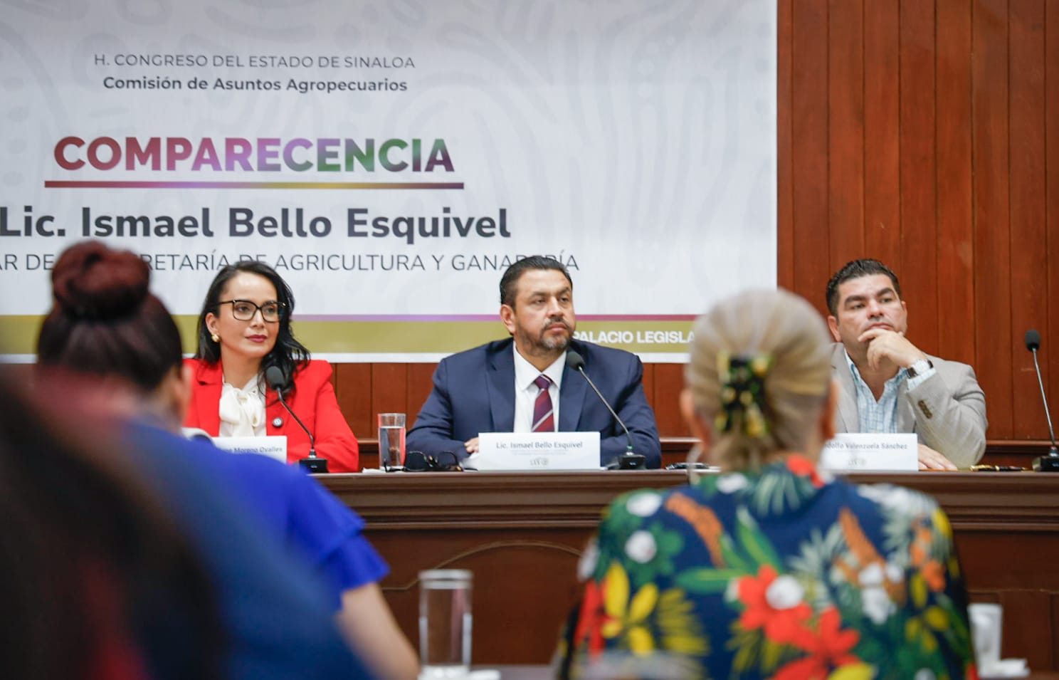 Comparecencia ante las diputadas y los diputados del Congreso del Estado