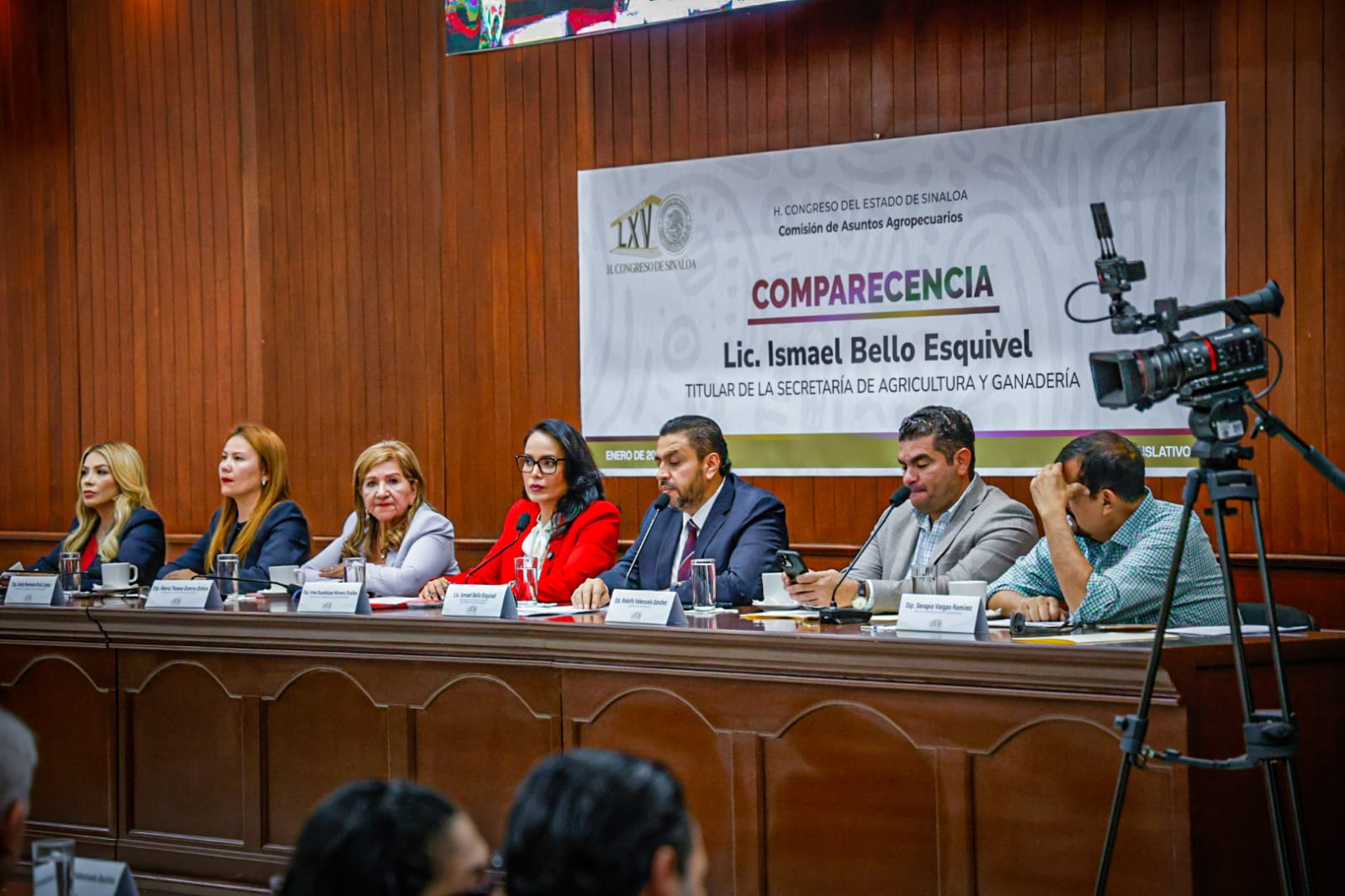 Comparecencia ante las diputadas y los diputados del Congreso del Estado