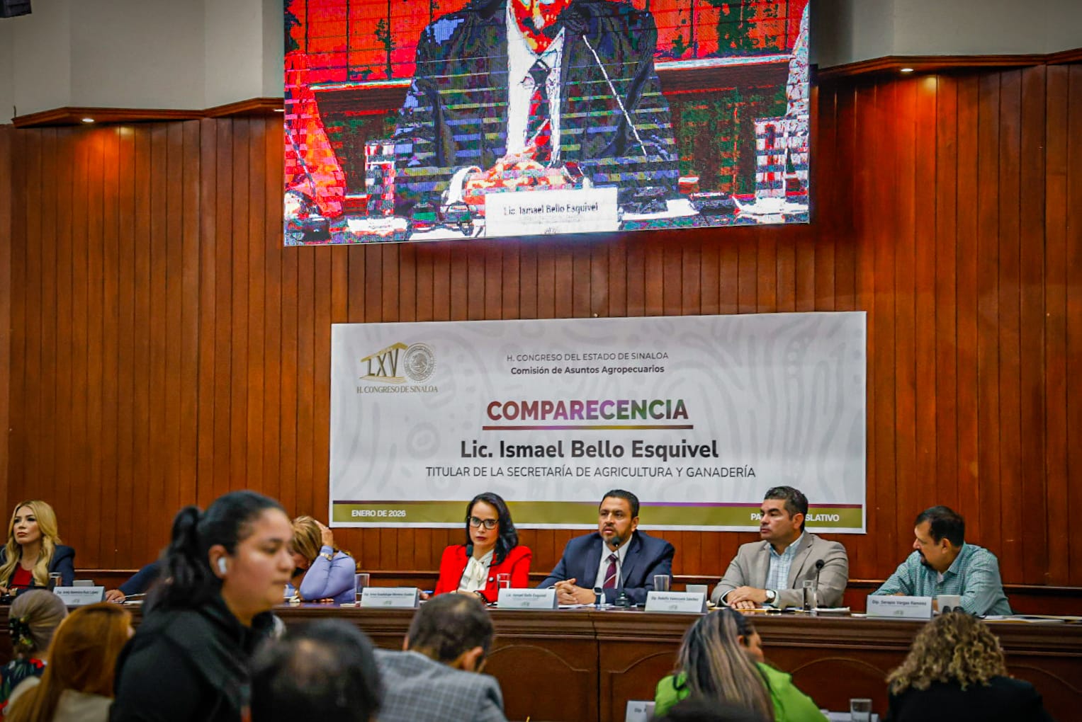 Comparecencia ante las diputadas y los diputados del Congreso del Estado