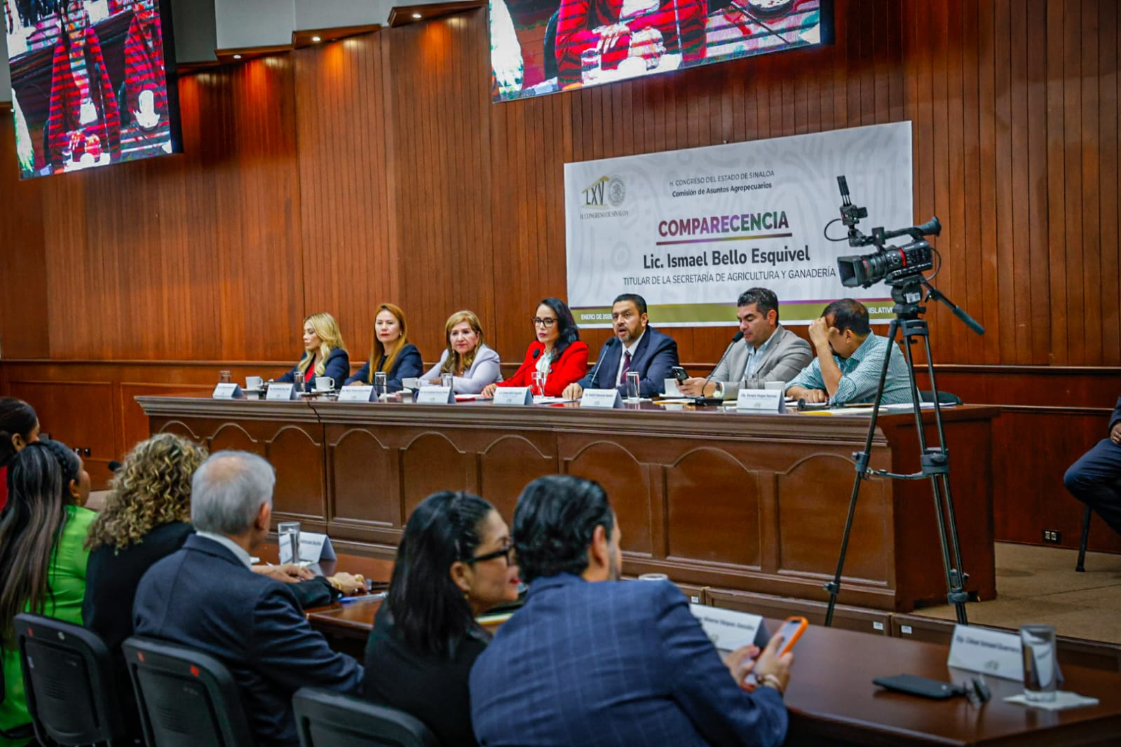 Comparecencia ante las diputadas y los diputados del Congreso del Estado