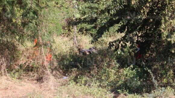 Localizan cuerpo en avanzado estado de descomposición en la carretera Mazatlán–Tepic