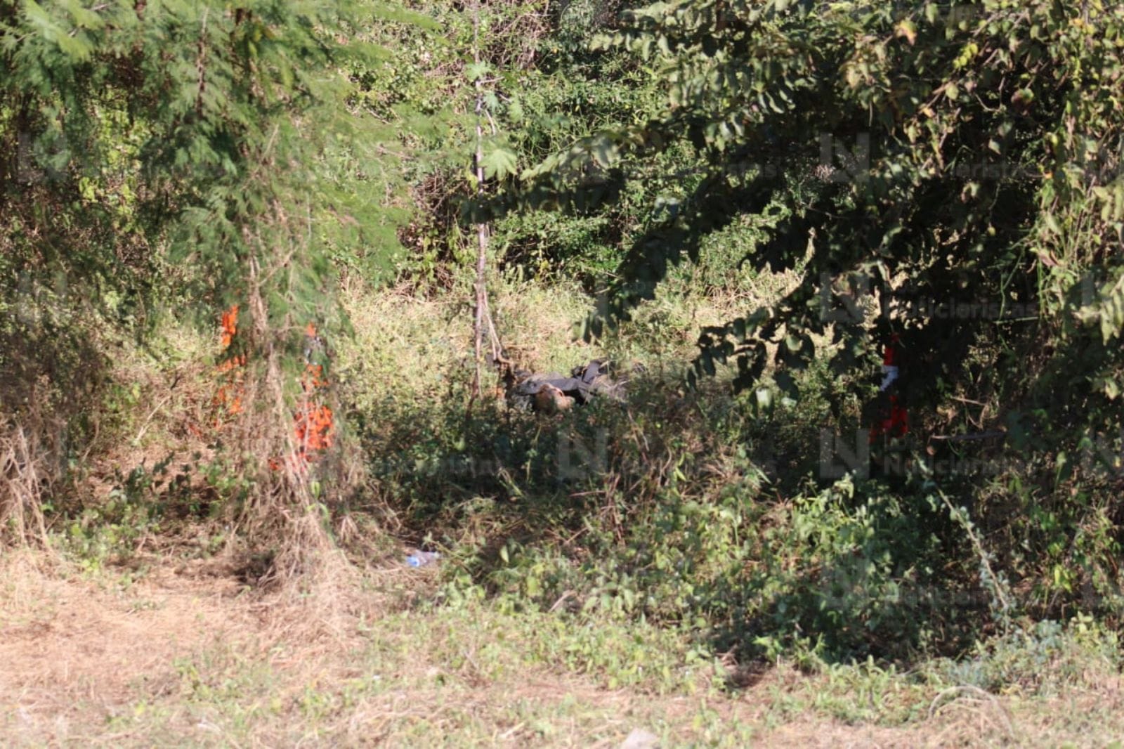 Localizan cuerpo en avanzado estado de descomposición en la carretera Mazatlán–Tepic