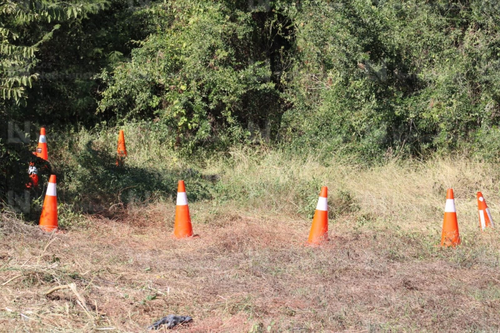 Localizan cuerpo en avanzado estado de descomposición en la carretera Mazatlán–Tepic