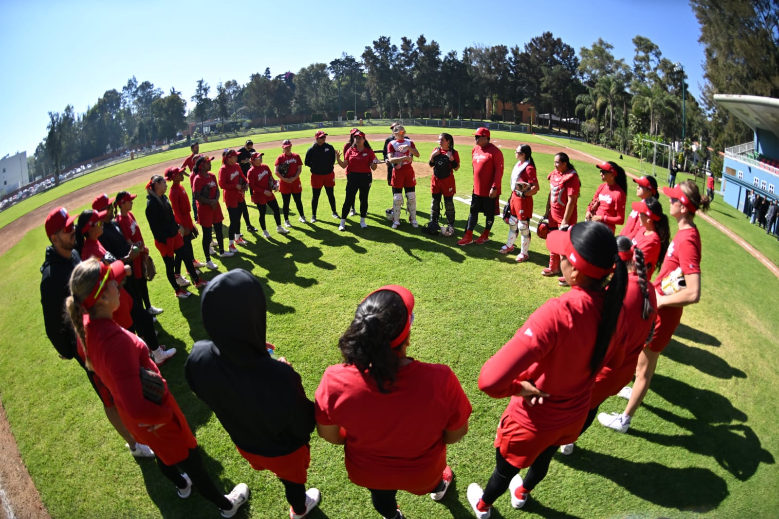 Diablos Softbol Femenil