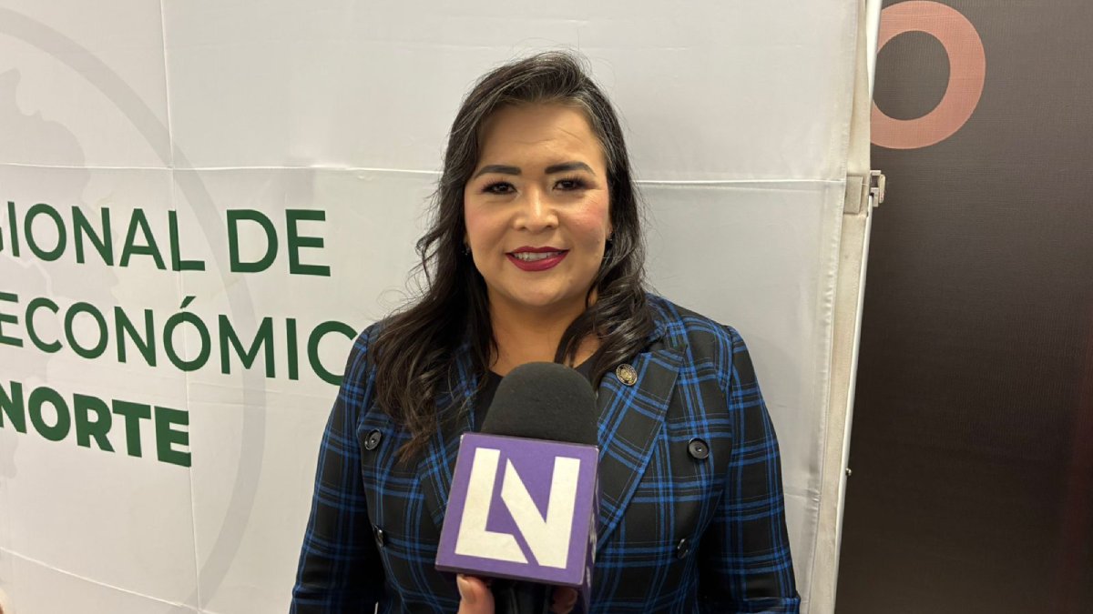 diputada federal por morena ana ayala