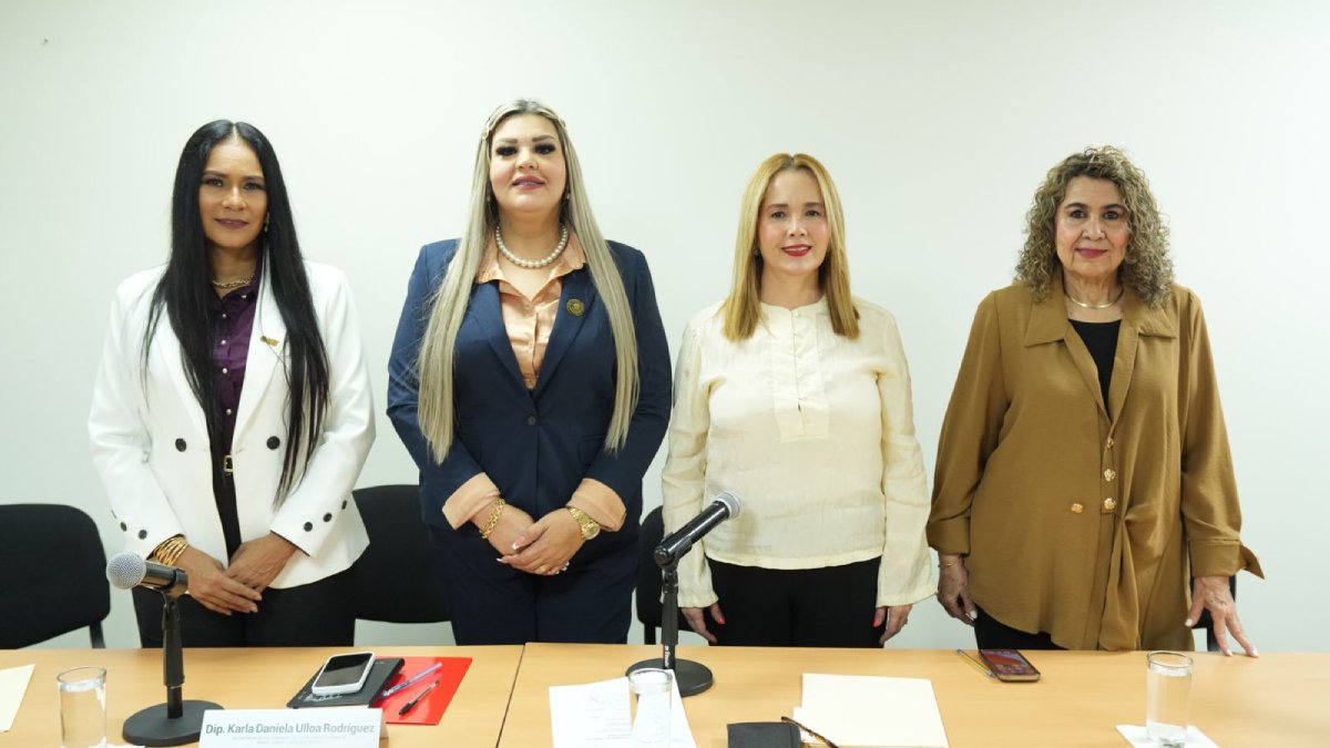 diputada presidenta de la comision elizabeth rafaela montoya ojeda reunion