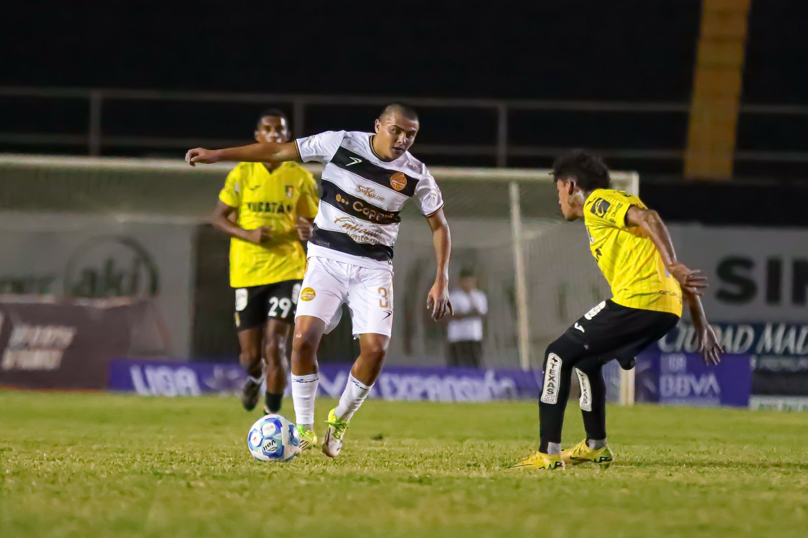 Dorados y Venados