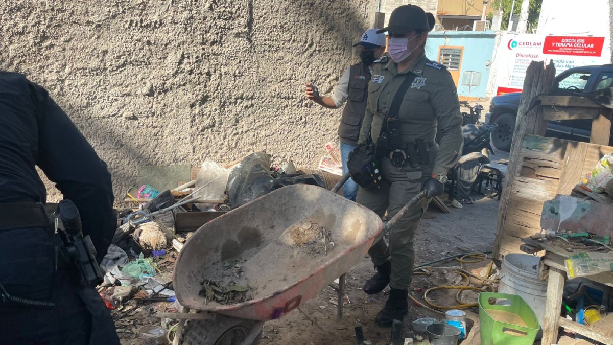 dos dompes de desechos retirados en vivienda de la angel flores en guasave sin