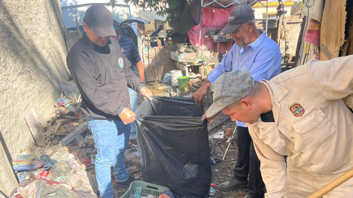 dos dompes de desechos retirados en vivienda de la colonia angel flores en guasave trabajos