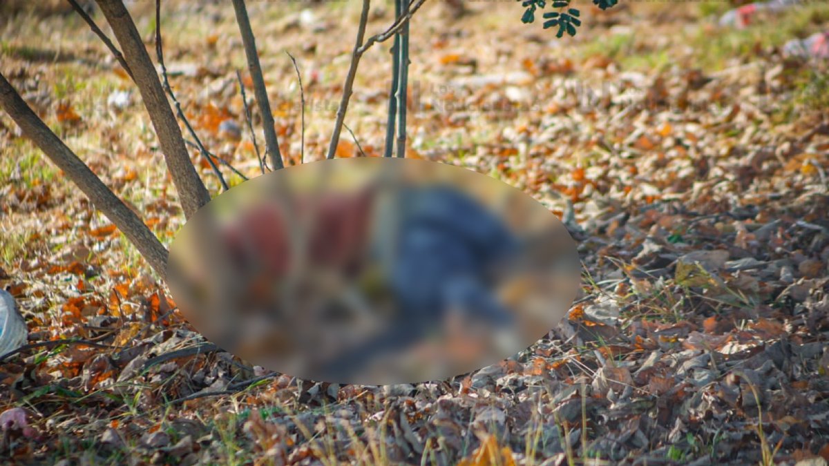 dos hombres ejecutados sobre la costera en culiacan sujeto