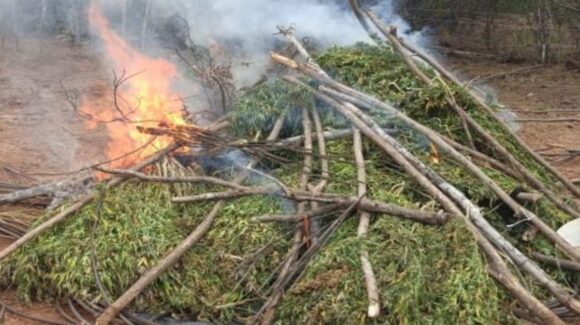 Ejército y Guardia Nacional decomisan droga y más de 130 mil pesos en diversos operativos en Culiacán, Sinaloa