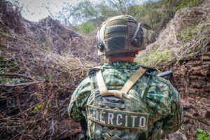 Detecta Ejército nueva modalidad de siembra de mariguana en Badiraguato