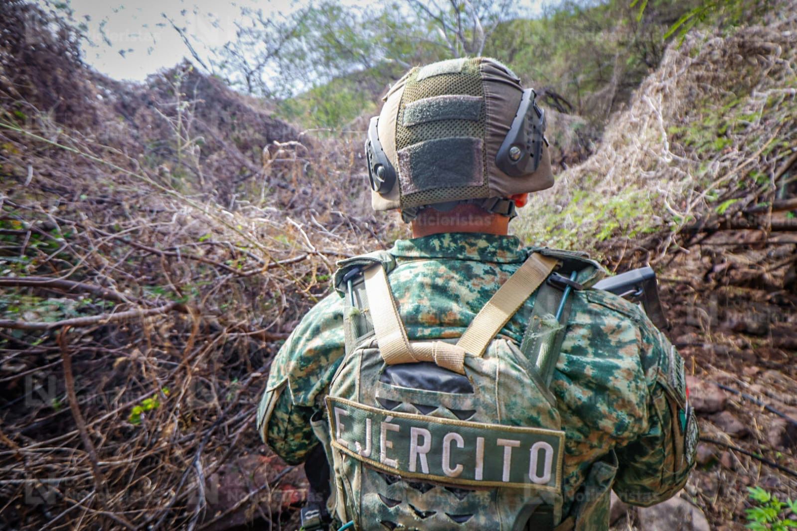 Detecta Ejército nueva modalidad de siembra de mariguana en Badiraguato