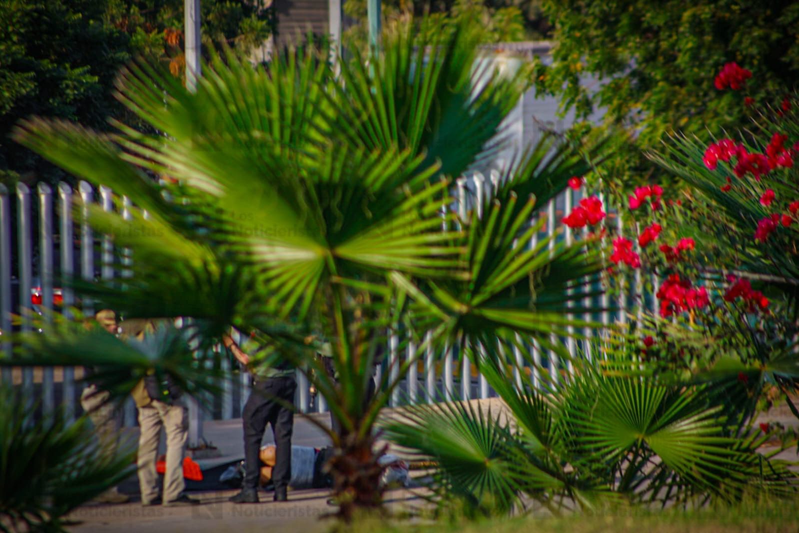 el cuerpo arrojado en el congreso del estado esta envuelto en bolsas