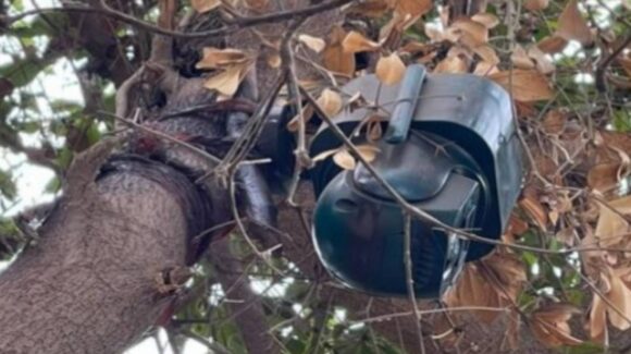 ¡Tenían celdas solares! Ejército asegura dos cámaras de vigilancia en Navolato, Sinaloa