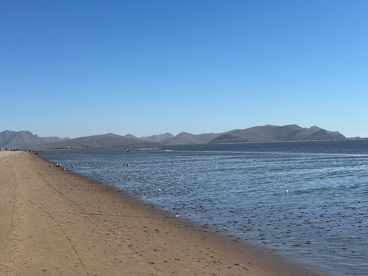 El Maviri