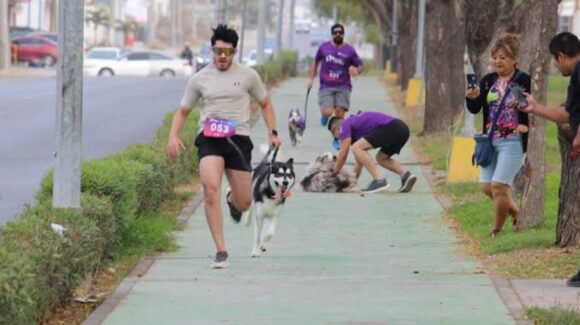 En Mazatlán, Sinaloa nos alistamos para la Canrrera 2026, evento perruno que nos unirá por el bien de los peluditos