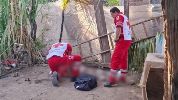 Adulto mayor resulta lesionado tras caer de una palmera en Palos Blancos, Guasave, Sinaloa