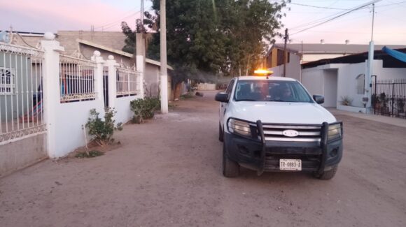 Equipo interinstitucional está investigando a qué se deben moscos y malos olores en el norte de Culiacán, Sinaloa