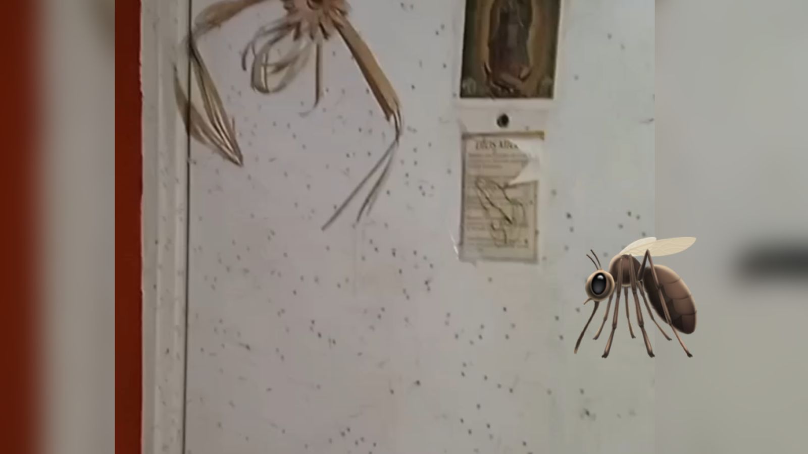 enjambre de mosquitos