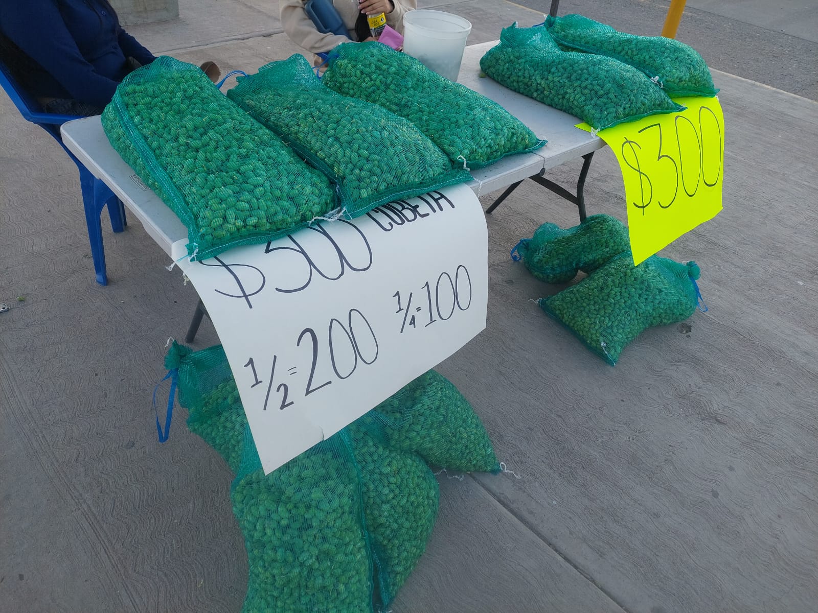 Garbanzo verde de venta en el Évora