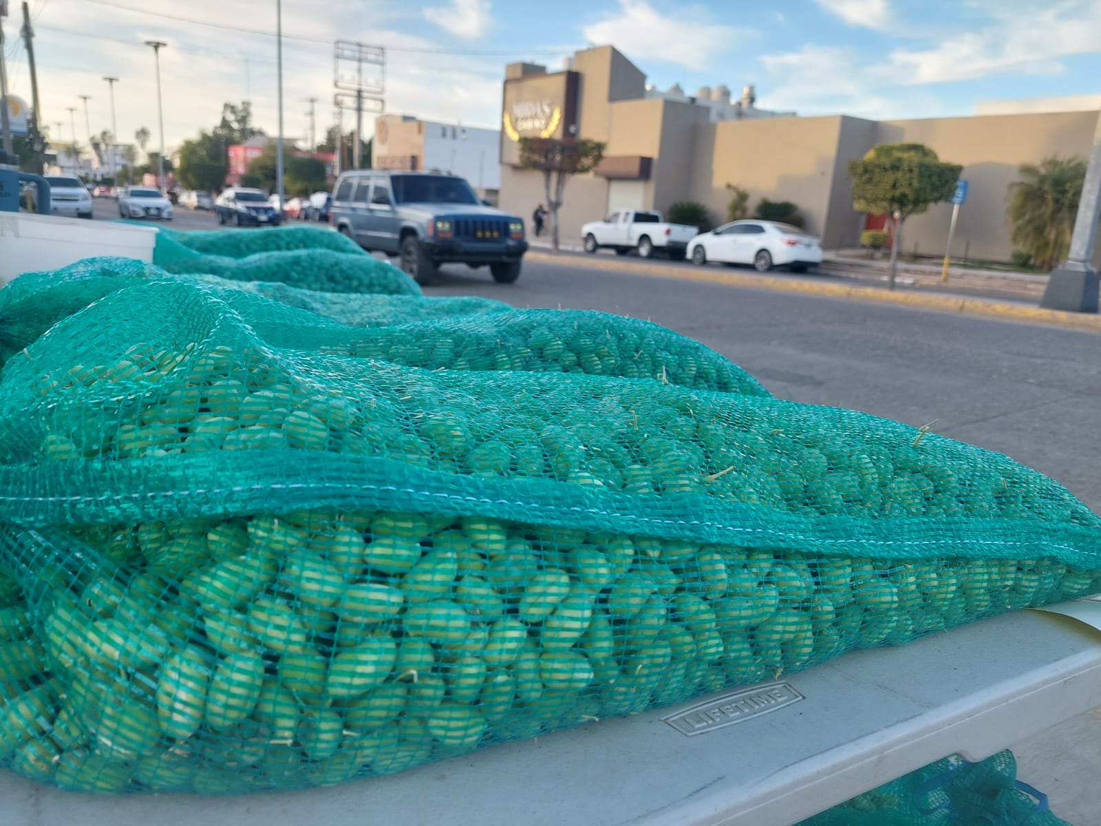 Garbanzo verde de venta en el Évora