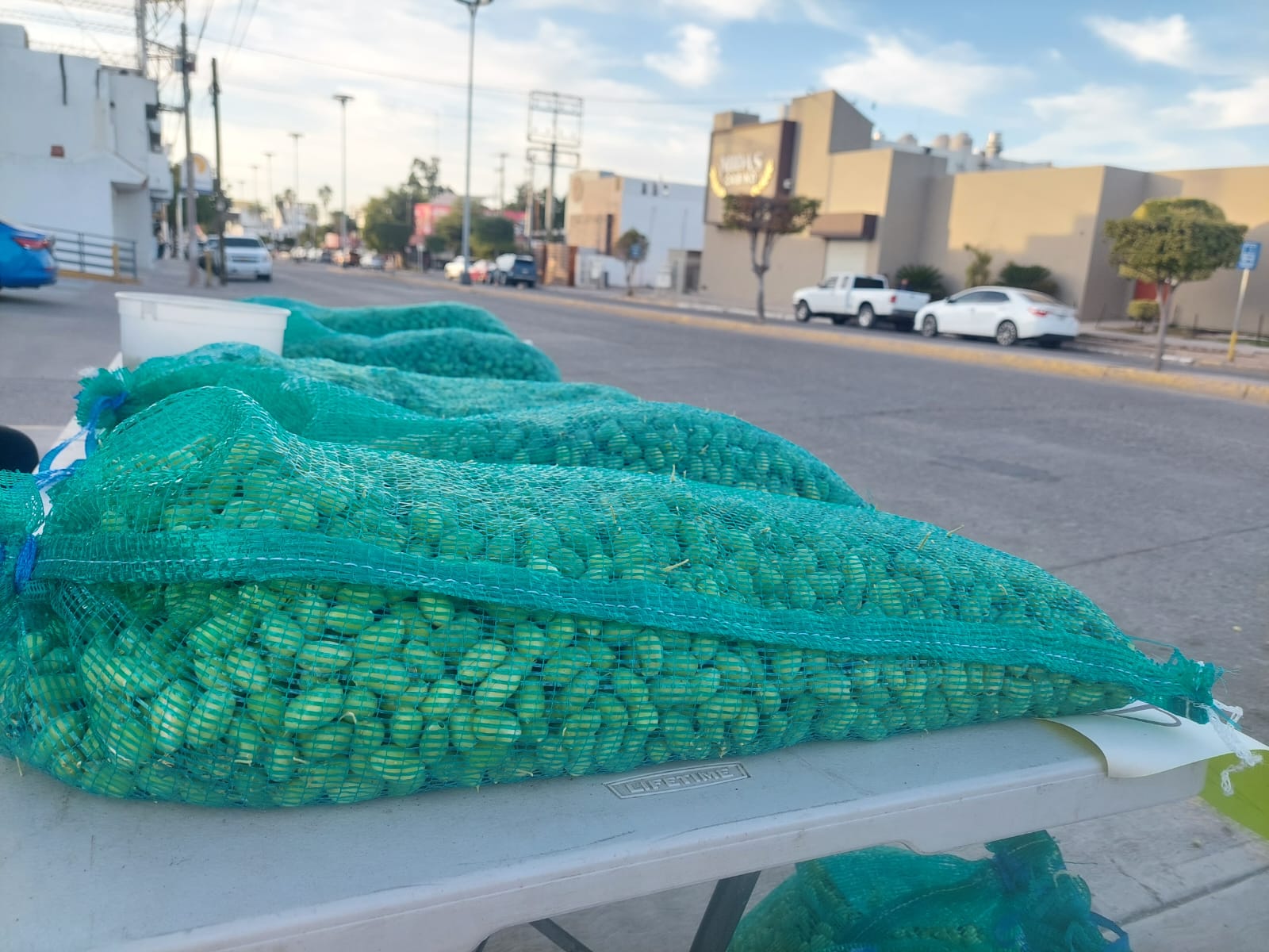 Garbanzo verde de venta en el Évora
