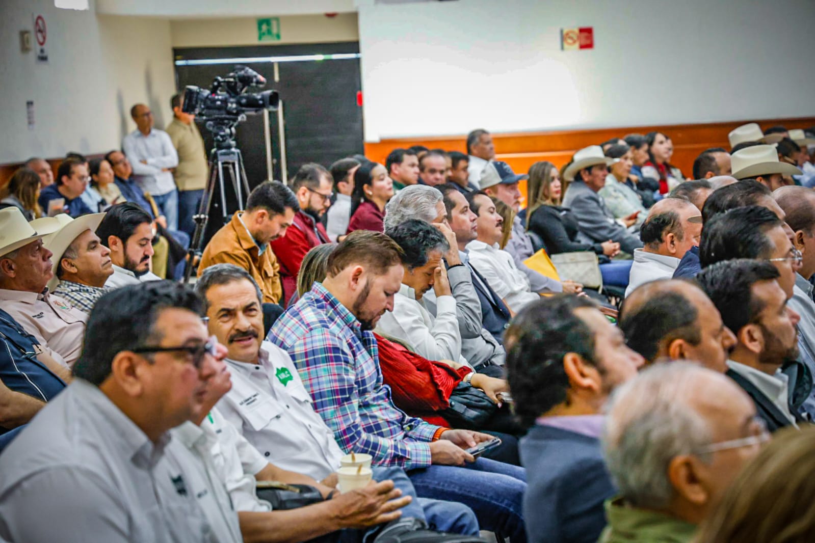 Comparecencia ante las diputadas y los diputados del Congreso del Estado
