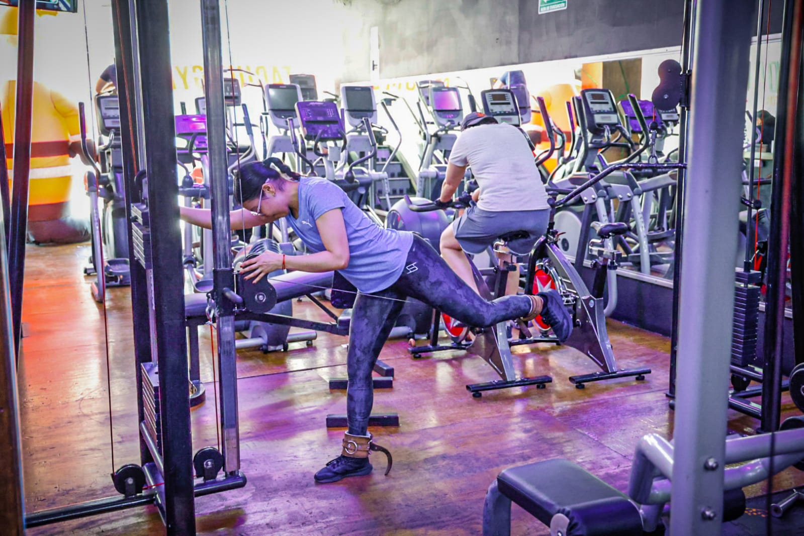 gimnasio Fabrica de Monstruos Perry Corp