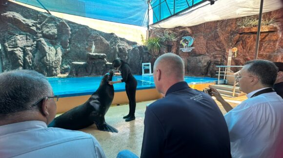 ¿Ya conoces el Gran Acuario de Mazatlán? Estos seis municipios del sur de Sinaloa tienen tarifa especial