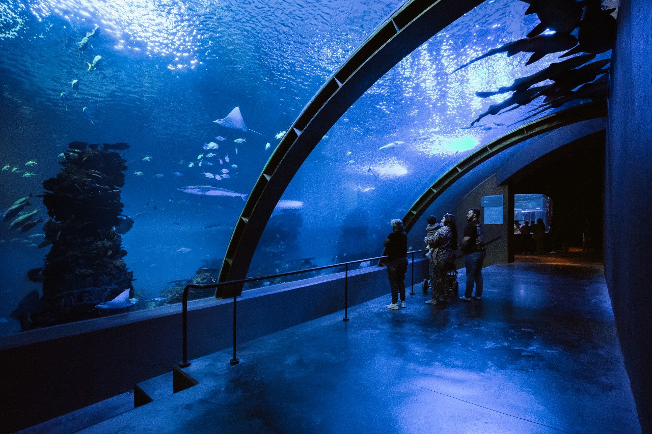 Gran Acuario Mazatlán