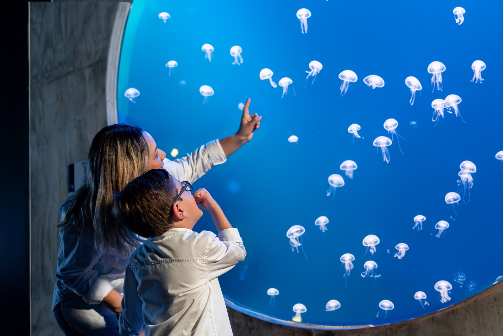 Gran Acuario Mazatlán