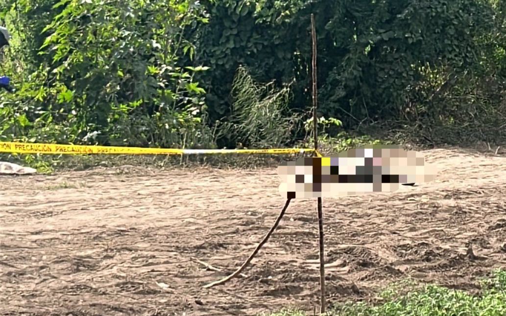 hallan dos cuerpos sin vida en navolato