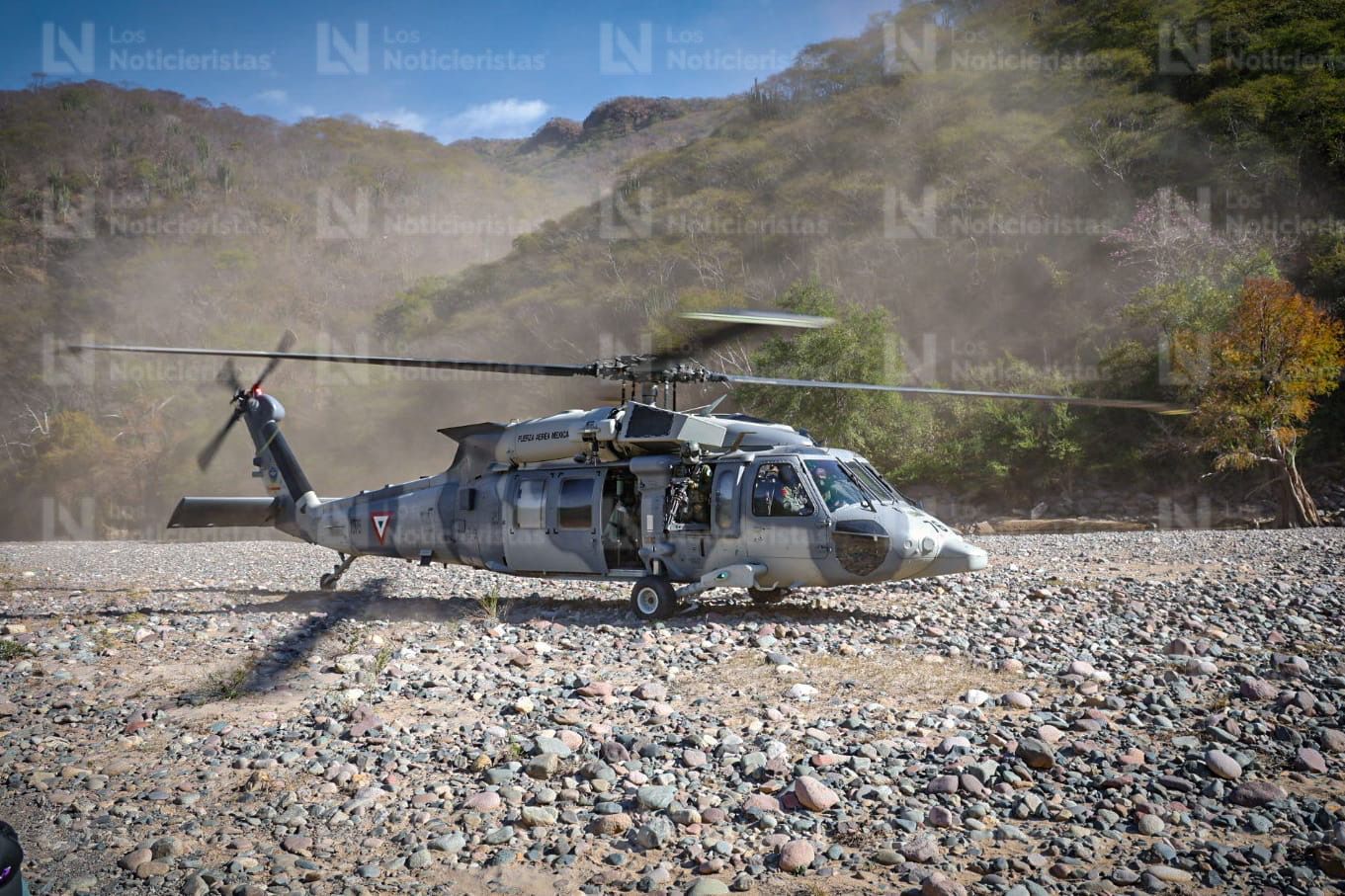Detecta Ejército nueva modalidad de siembra de mariguana en Badiraguato