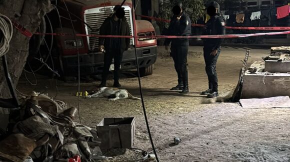 Animalistas califican de “light” la liberación del joven que mató a balazos a un perrito en un ejido de Ahome, Sinaloa