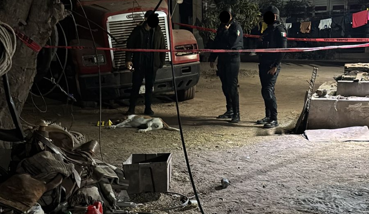 Hombre mata a perro en ejido Benito Juárez, en Ahome