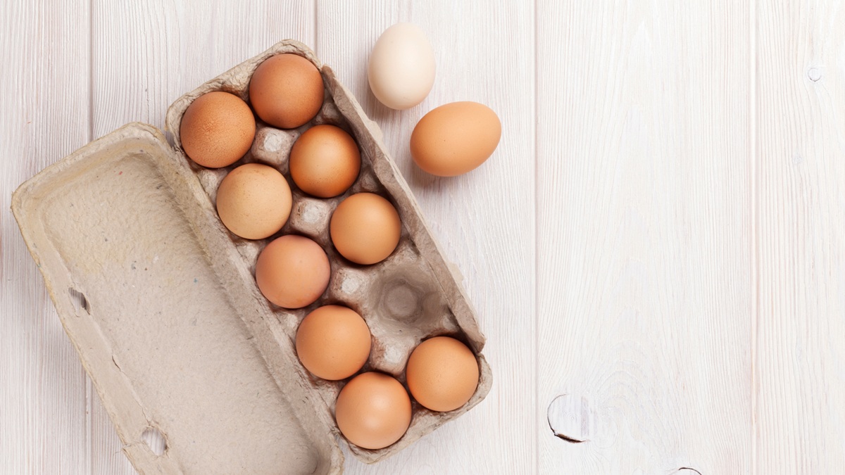 Cartera de huevos