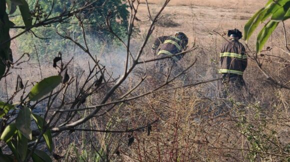 ¡A lo manual! Bomberos Veteranos controlan incendio en lote baldío de la colonia Libertad de Expresión en Mazatlán, Sinaloa
