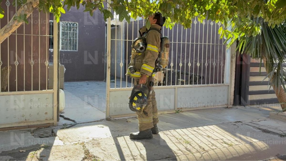 incendio en los cedros en los mochis
