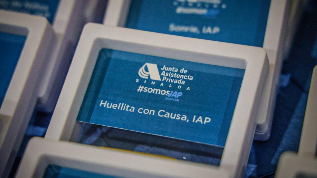 jap entrega 31 videos institucionales a iaps del centro de sinaloa huellitas