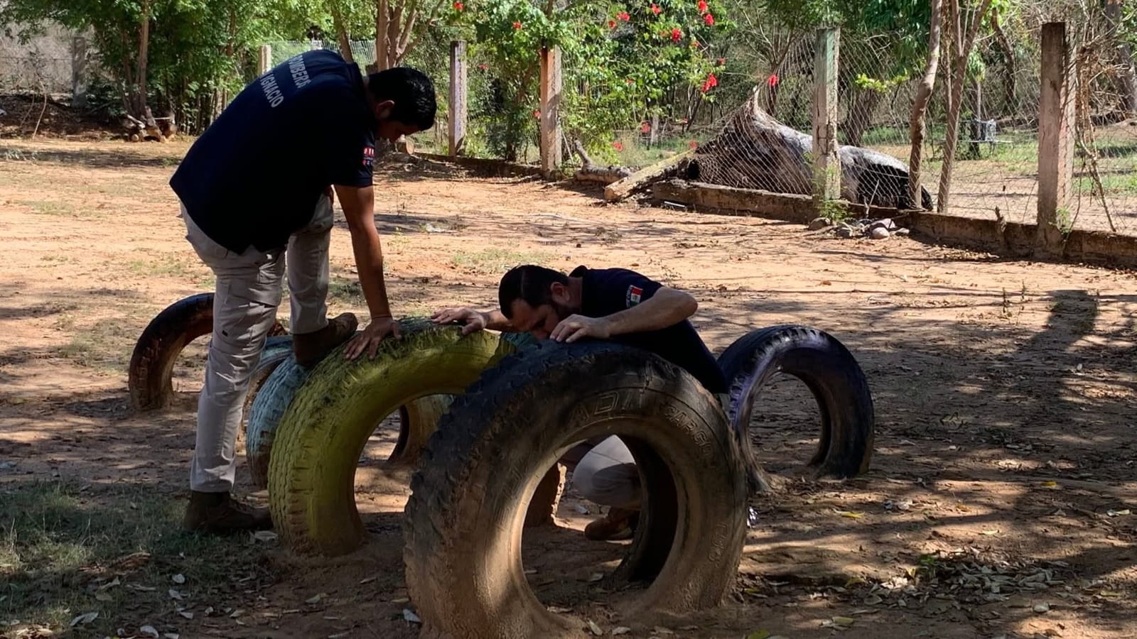 Jardín de niños infestado de pulgas en San Ignacio, Sinaloa