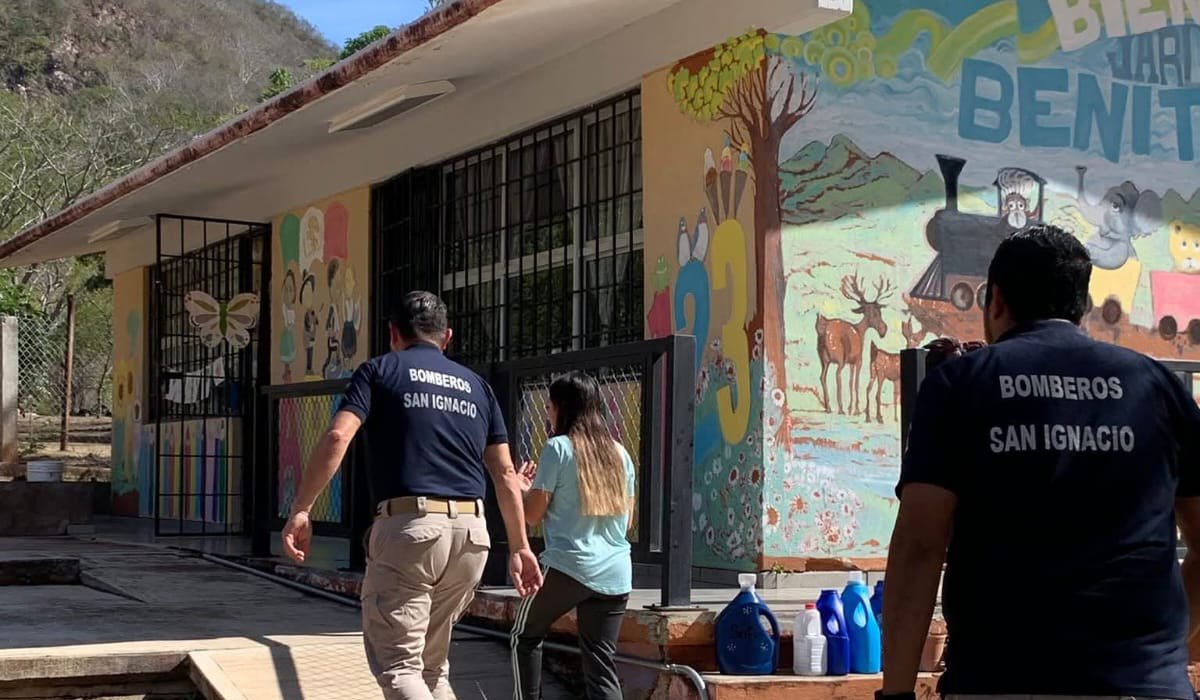 Jardín de niños infestado de pulgas en San Ignacio, Sinaloa