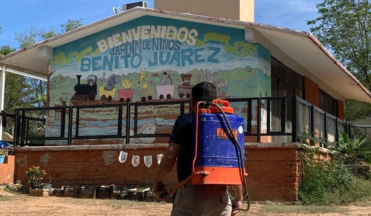 Jardín de niños infestado de pulgas en San Ignacio, Sinaloa