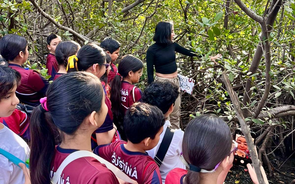 recorridos guiados y charlas informativas enfocadas en la relevancia ecológica de los manglares y su protección