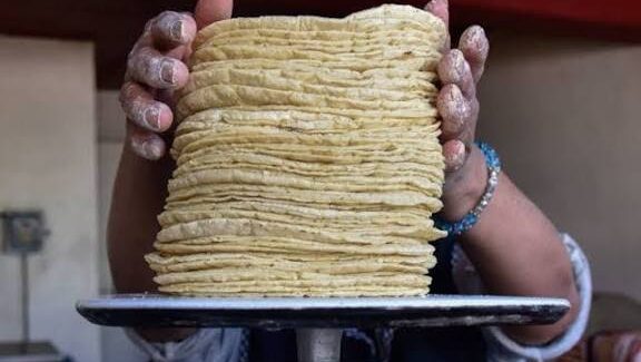 “El precio del kilo de tortilla no va a rebasar los 28 pesos en Sinaloa”: Industriales llaman a evitar abusos de parte de tortillerías