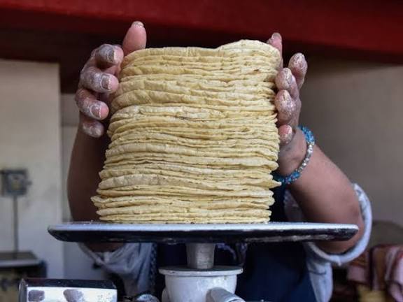 kilogramo de tortilla