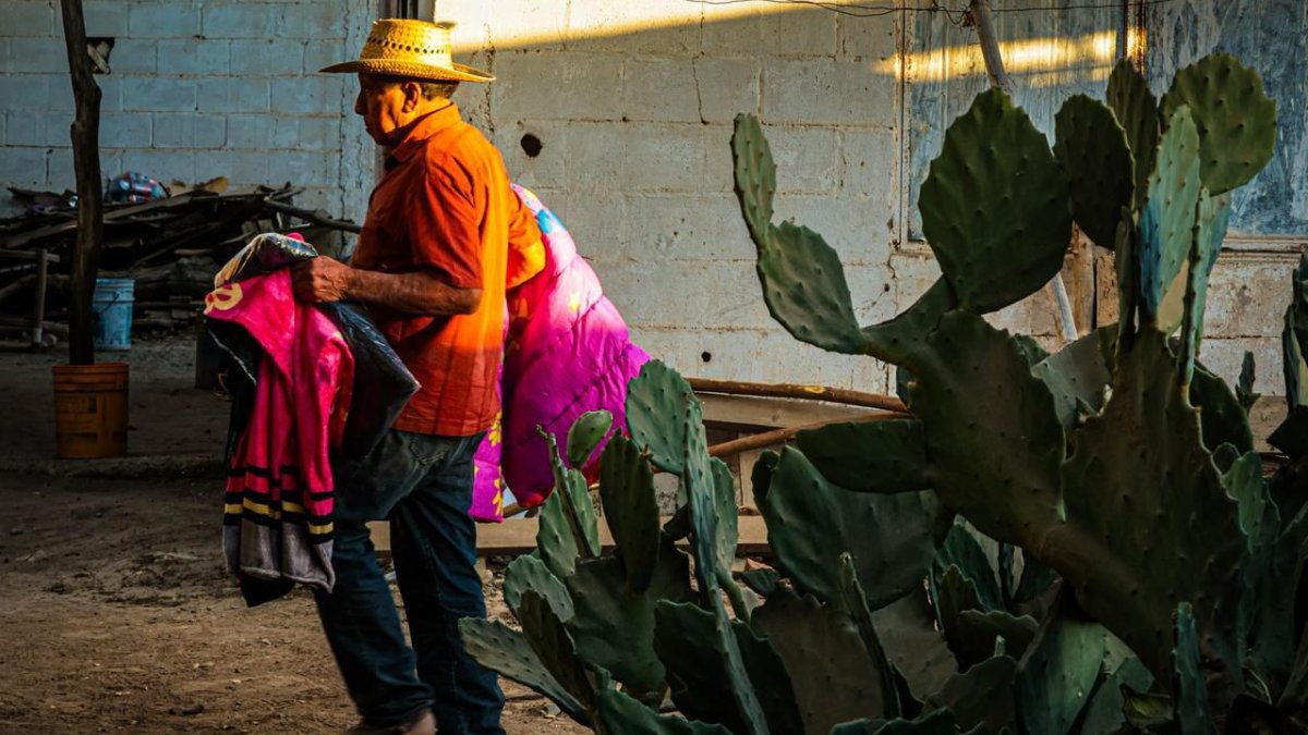 lleva la sebides apoyo invernal a familias de jornaleros agricolas en ruiz cortines