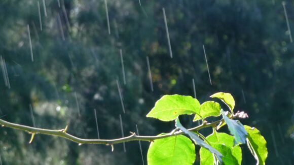 Clima Sinaloa hoy 05 de marzo | ¡Se recorren! Lluvias de 25mm previstas para el sábado, ocurrirían el domingo; la sierra no resentirá el nuevo frente frío