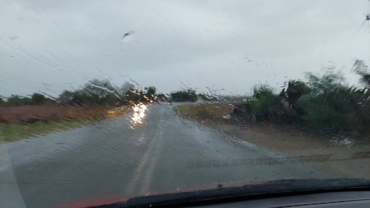 lluvias dejan encharcamientos y caida de arboles en salvador alvarado sin